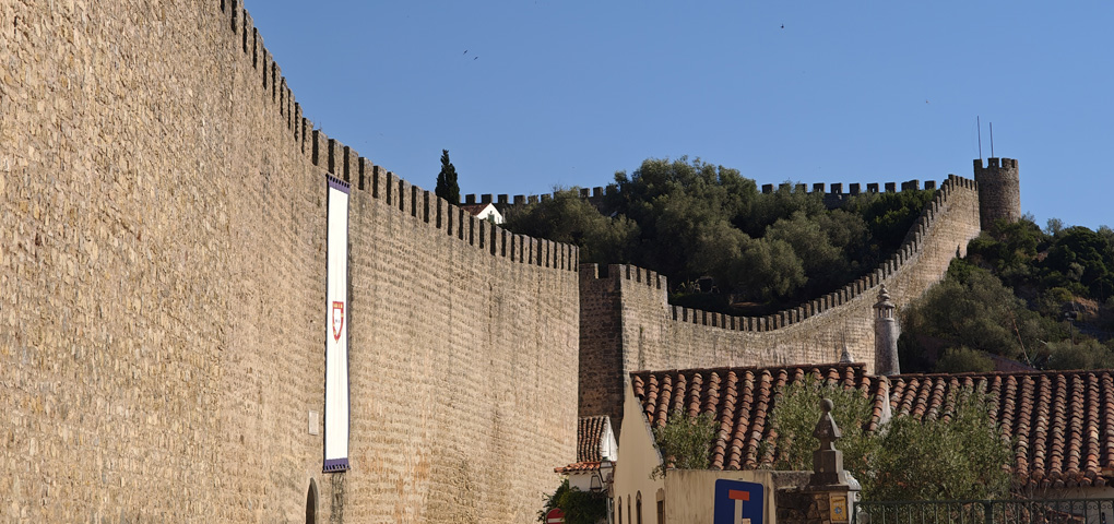 Codfish Academy Games Clinic Óbidos