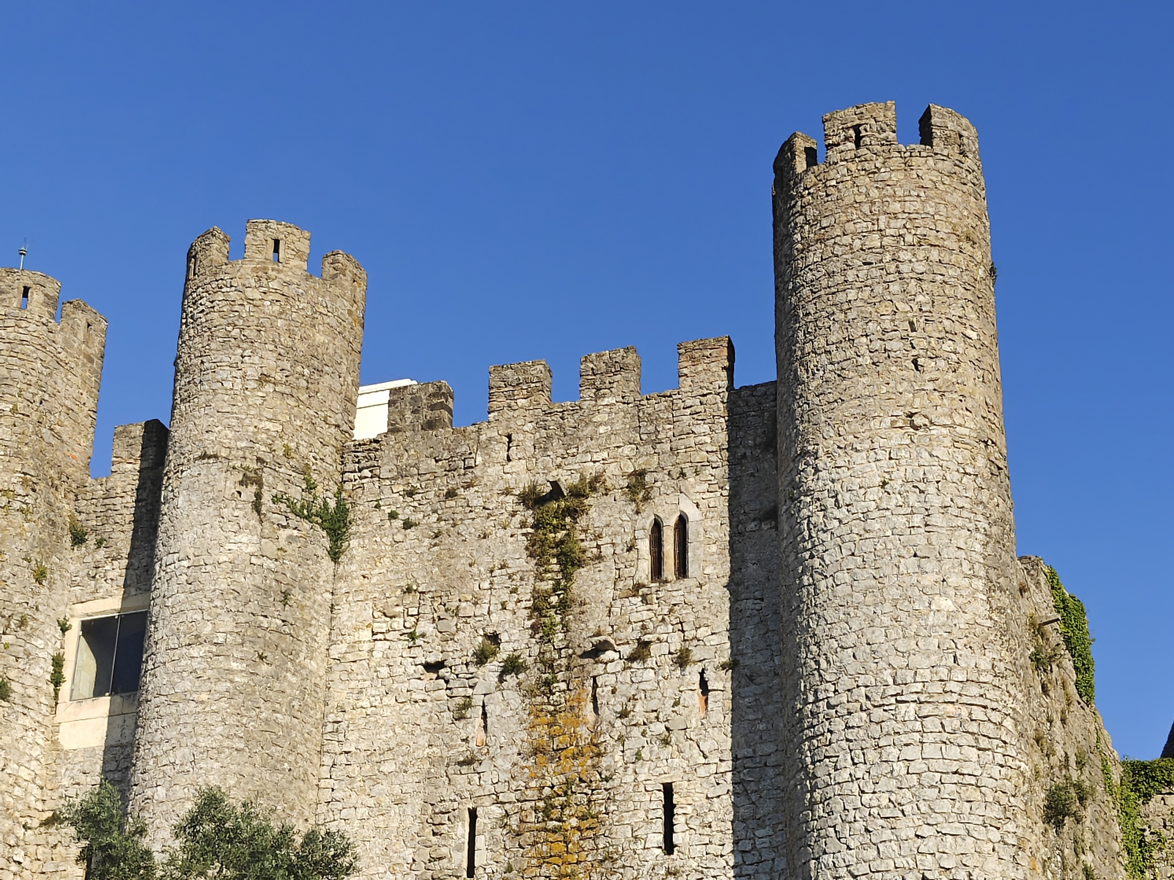 Codfish Academy Playstack Clinic
